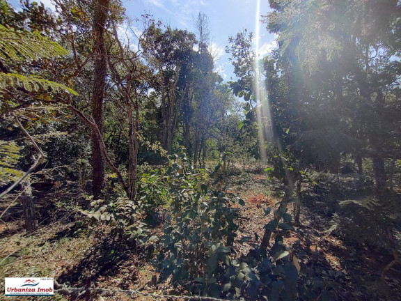 Imagem Chácara à Venda, em Chácara Dos Poderes - Campo Grande Imagem Chácara à Venda, em Chácara Dos Poderes - Campo Grande