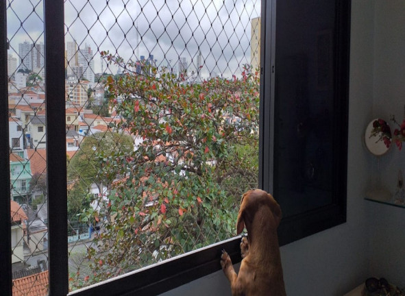 Imagem Apartamento com 2 Quartos à Venda, 109 m² em Perdizes - São Paulo