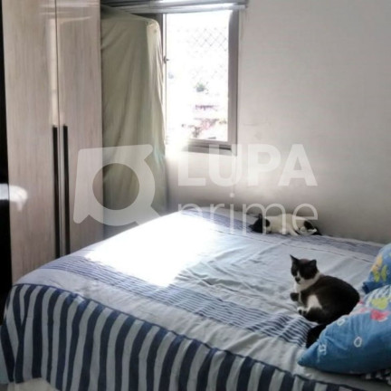 Imagem Apartamento com 2 Quartos à Venda, 63 m² em Tucuruvi - São Paulo