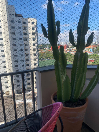 Imagem Apartamento com 3 Quartos à Venda, 146 m² em Jardim Colombo - São Paulo Imagem Apartamento com 3 Quartos à Venda, 146 m² em Jardim Colombo - São Paulo