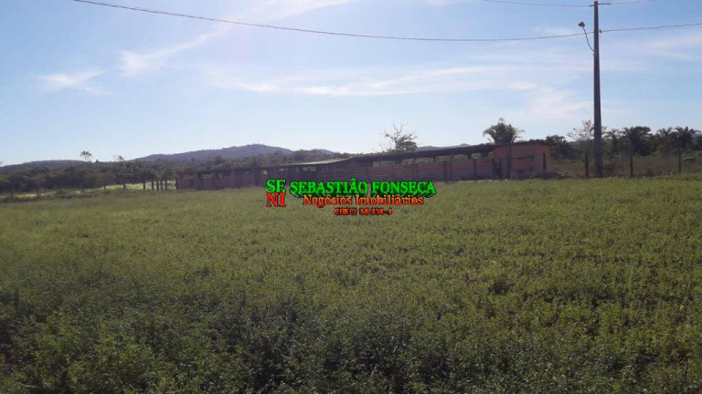 Imagem Fazenda à Venda, 1.200 m² em área Rural De Xinguara - Xinguara