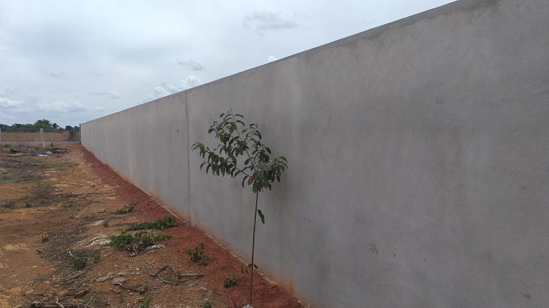 Imagem Fazenda à Venda, 1 m² em Zona Rural - Sinop Imagem Fazenda à Venda, 1 m² em Zona Rural - Sinop