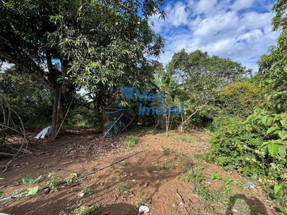Imagem Imóvel com 3 Quartos à Venda, 23.000 m² em área Rural De Luziânia - Luziânia Imagem Imóvel com 3 Quartos à Venda, 23.000 m² em área Rural De Luziânia - Luziânia