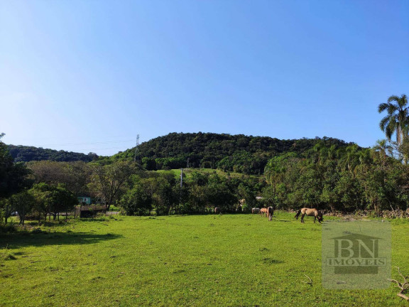 Imagem Imóvel à Venda, 125.895 m² em Aliança - Santa Cruz Do Sul Imagem Imóvel à Venda, 125.895 m² em Aliança - Santa Cruz Do Sul