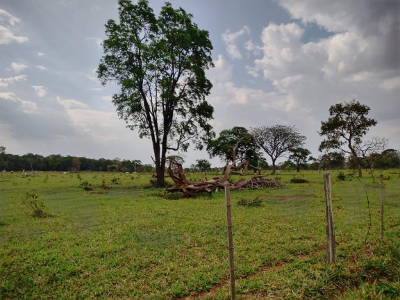 Imagem Fazenda à Venda, 3.400 m² em Rural - Campo Grande Imagem Fazenda à Venda, 3.400 m² em Rural - Campo Grande