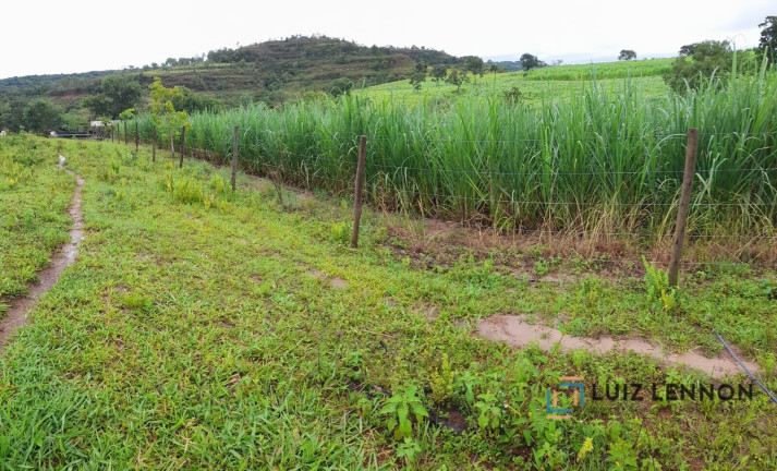 Imagem Imóvel com 3 Quartos à Venda, 820.000 m² em Centro - Varjão De Minas