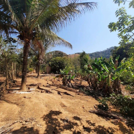 Imagem Chácara à Venda, 6.000 m²