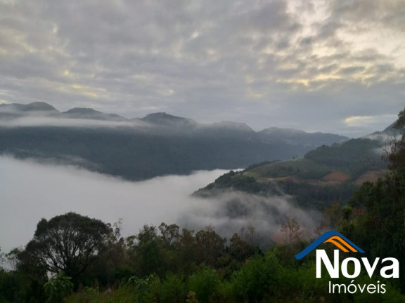 Imagem Imóvel à Venda, 31.701 m² em Linha Pirajá Baixa - Nova Petrópolis