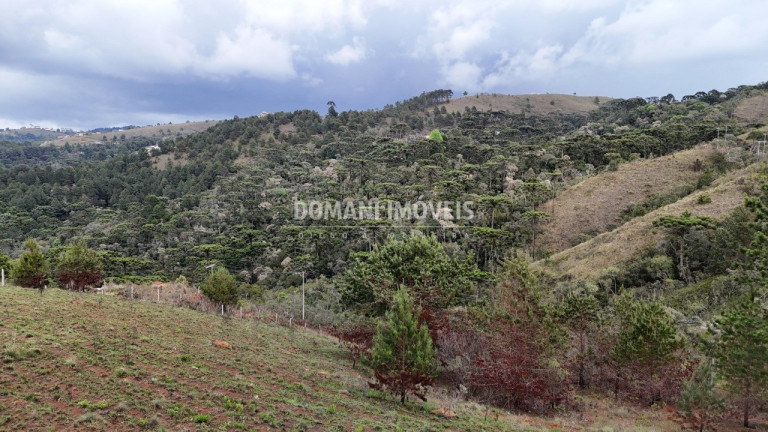 Imagem Terreno à Venda, 1.800 m² em Região De Descansópolis - Campos Do Jordão Imagem Terreno à Venda, 1.800 m² em Região De Descansópolis - Campos Do Jordão