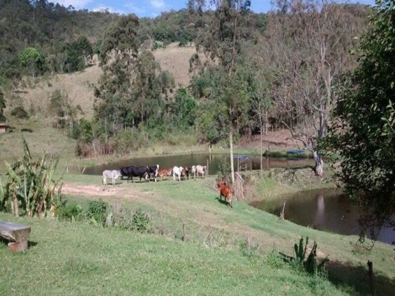 Imagem Fazenda à Venda, 726 m² em Azevedo - Joanópolis Imagem Fazenda à Venda, 726 m² em Azevedo - Joanópolis