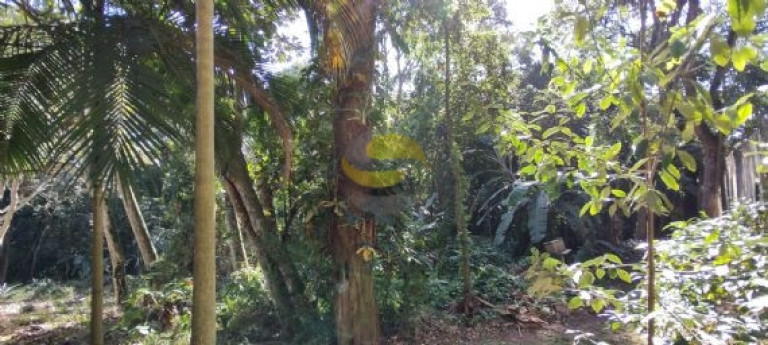 Imagem Terreno à Venda, 1.000 m² em Jardim Colibri - Cotia Imagem Terreno à Venda, 1.000 m² em Jardim Colibri - Cotia