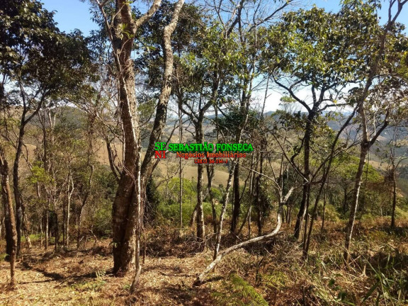Imagem Chácara à Venda, 30.000 m² em Centro - Monteiro Lobato Imagem Chácara à Venda, 30.000 m² em Centro - Monteiro Lobato