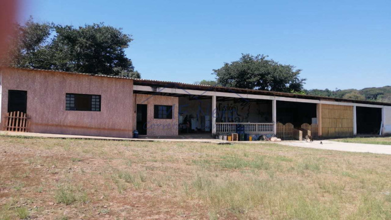 Imagem Fazenda à Venda, 22 m² em Roque - Pirassununga Imagem Fazenda à Venda, 22 m² em Roque - Pirassununga