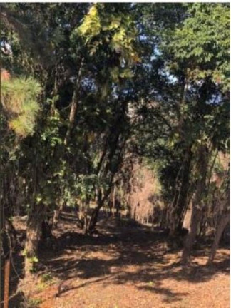 Imagem Terreno à Venda, 2.063 m² em Patamares - Salvador Imagem Terreno à Venda, 2.063 m² em Patamares - Salvador