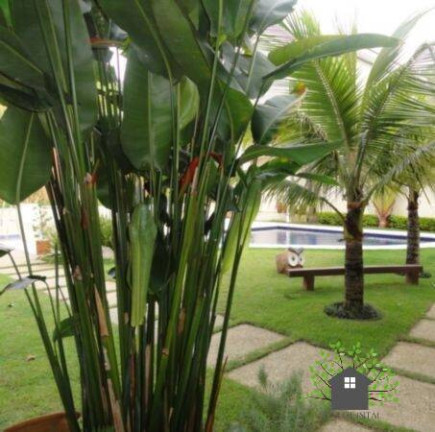 Imagem Casa com 4 Quartos à Venda, 550 m² em Jardim Passárgada I - Cotia Imagem Casa com 4 Quartos à Venda, 550 m² em Jardim Passárgada I - Cotia