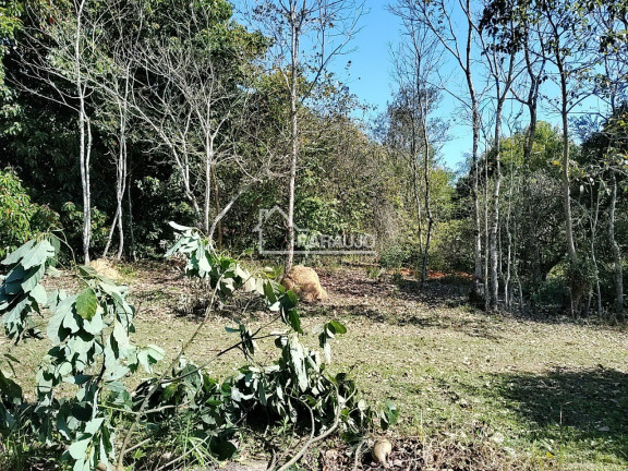 Imagem Imóvel com 3 Quartos à Venda, 30.156 m² em Barra - Salto De Pirapora