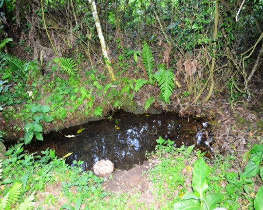 Imagem Imóvel à Venda, em Vila Germânia - Nova Petrópolis Imagem Imóvel à Venda, em Vila Germânia - Nova Petrópolis