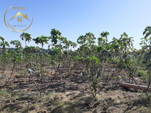 Imagem Imóvel com 9 Quartos à Venda, 69.700 m² em Reforma Agrária - Valinhos