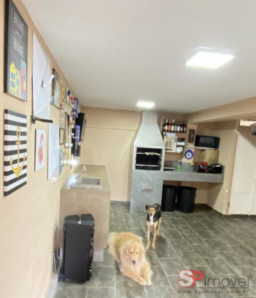Imagem Casa com 5 Quartos à Venda, 262 m² em Jardim - Santo André Imagem Casa com 5 Quartos à Venda, 262 m² em Jardim - Santo André