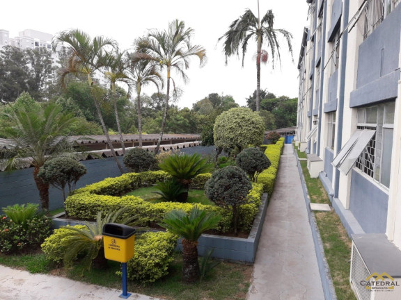 Imagem Apartamento com 2 Quartos à Venda, 48 m² em Jardim Ana Maria - Jundiaí Imagem Apartamento com 2 Quartos à Venda, 48 m² em Jardim Ana Maria - Jundiaí