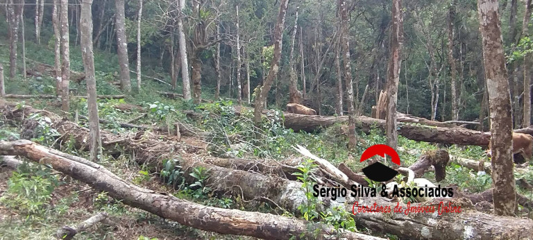 Imagem Terreno à Venda, 1.940 m² em Nova Capivari - Campos Do Jordão Imagem Terreno à Venda, 1.940 m² em Nova Capivari - Campos Do Jordão