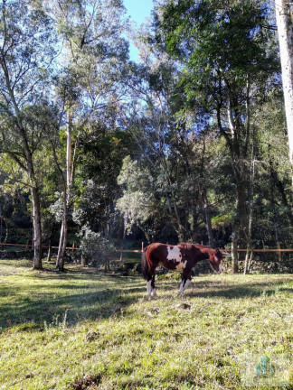 Imagem Chácara com 4 Quartos à Venda, 245 m²