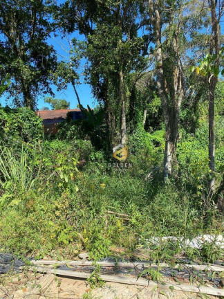 Imagem Terreno à Venda, 266 m² em Zimbros - Bombinhas Imagem Terreno à Venda, 266 m² em Zimbros - Bombinhas
