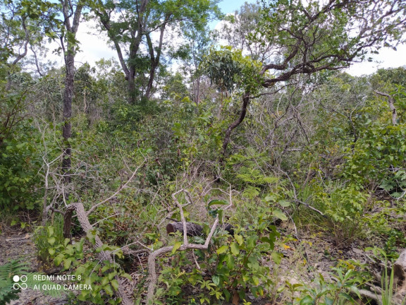 Imagem Imóvel à Venda,  em Mirador/ma - Mirador