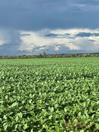 Fazenda à Venda, 2.850 m² em Alto Araguaia