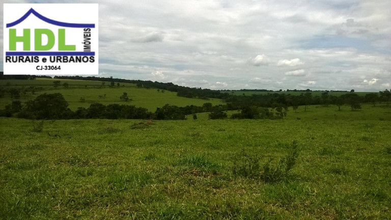 Fazenda à Venda, 38 m² em Zona Rural - Piracanjuba
