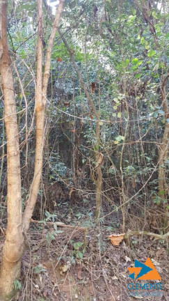 Imagem Terreno à Venda, 453 m² em Jardinaves - Nova Lima Imagem Terreno à Venda, 453 m² em Jardinaves - Nova Lima