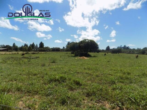Imagem Terreno à Venda, 1.100 m² em águas Claras - Viamão Imagem Terreno à Venda, 1.100 m² em águas Claras - Viamão