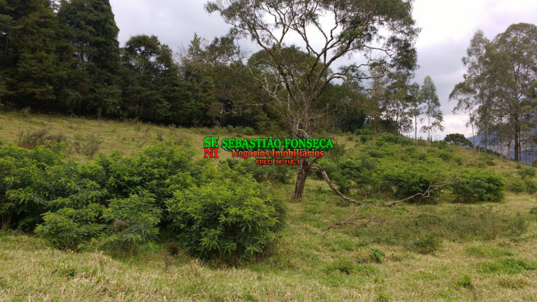 Imagem Chácara à Venda, 5.000 m² em São Francisco Xavier - São José Dos Campos Imagem Chácara à Venda, 5.000 m² em São Francisco Xavier - São José Dos Campos