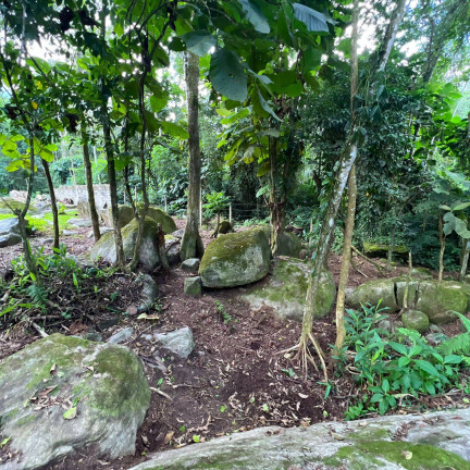 Terreno à Venda, 750 m² em Horto Florestal - Ubatuba