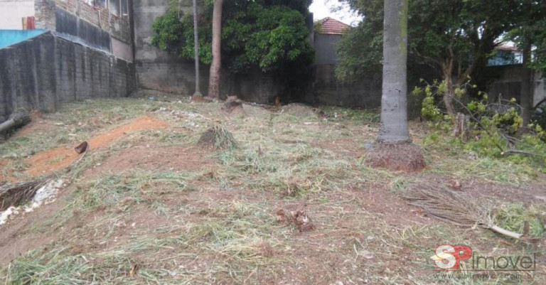 Imagem Terreno à Venda, 912 m² em Vila Ivone - São Paulo