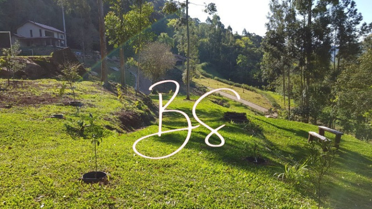 Imagem Imóvel com 5 Quartos à Venda, 30.000 m² em Pirajá Baixa - Nova Petrópolis