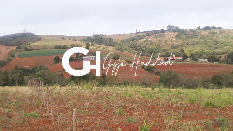 Imagem Chácara à Venda, 5.000 m² em Piedade Imagem Chácara à Venda, 5.000 m² em Piedade