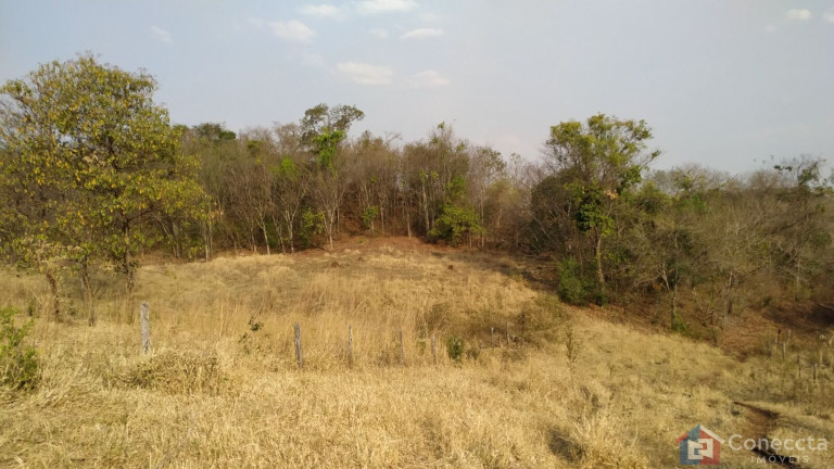 Terreno à Venda, 700.000 m² em Centro - Presidente Olegário