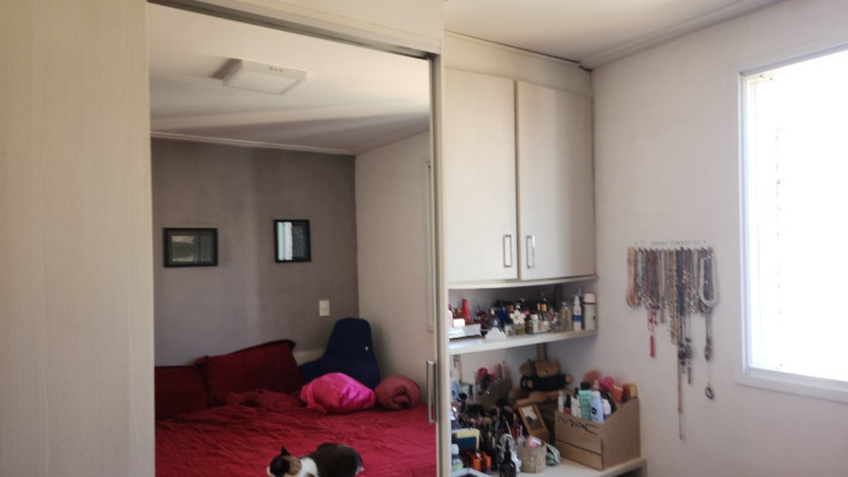 Imagem Apartamento com 3 Quartos à Venda, 66 m² em Vila Guarani (z Sul) - São Paulo Imagem Apartamento com 3 Quartos à Venda, 66 m² em Vila Guarani (z Sul) - São Paulo