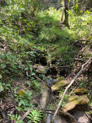 Imagem Terreno à Venda, 3 m² em Santa Terezinha De Minas - Itatiaiuçu