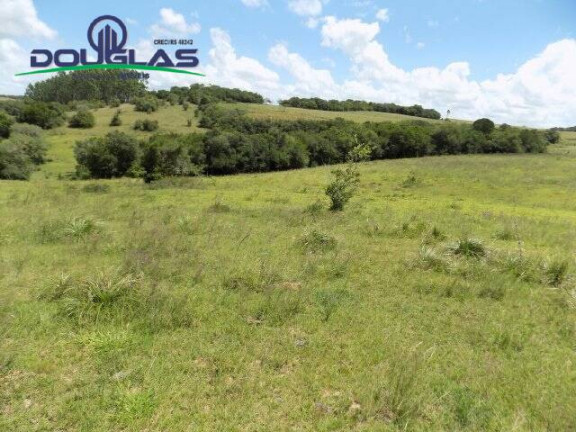 Imagem Chácara com 2 Quartos à Venda, 190.000 m² em Viamão Imagem Chácara com 2 Quartos à Venda, 190.000 m² em Viamão