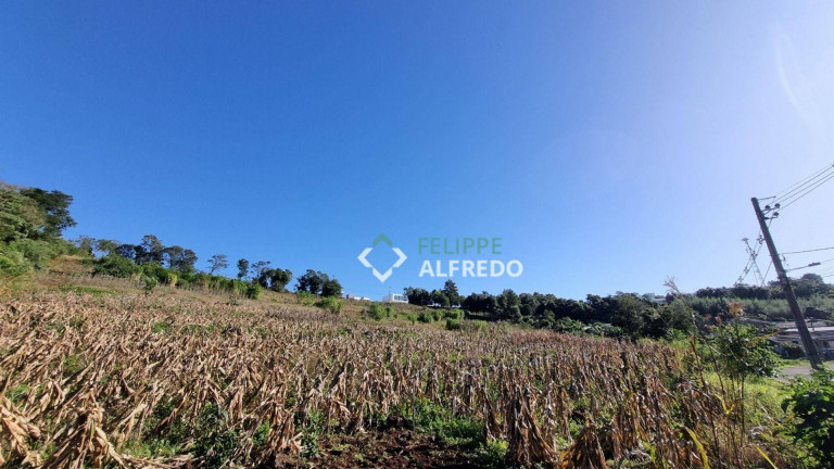Imagem Terreno em Condomínio à Venda, 482 m² em Vale Esquerdo - Dois Irmãos Imagem Terreno em Condomínio à Venda, 482 m² em Vale Esquerdo - Dois Irmãos