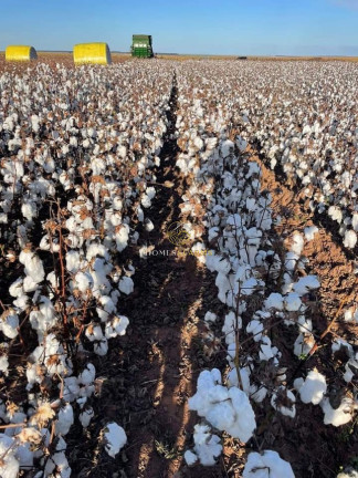 Imagem Imóvel com 3 Quartos à Venda, 16.943 m² em Zona Rural - Primavera Do Leste Imagem Imóvel com 3 Quartos à Venda, 16.943 m² em Zona Rural - Primavera Do Leste
