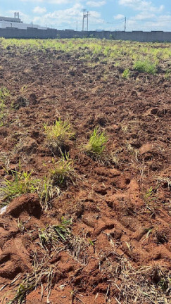 Terreno à Venda, 1 m² em Condomínio Empresarial Panamericano - Sorocaba