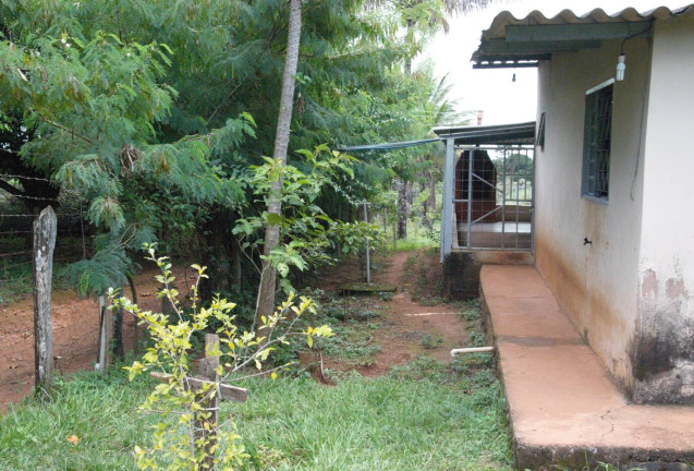 Imagem Casa com 3 Quartos à Venda, 5.000 m² em Monte Alto - Padre Bernardo Imagem Casa com 3 Quartos à Venda, 5.000 m² em Monte Alto - Padre Bernardo