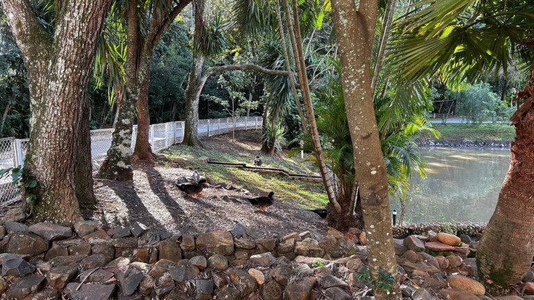 Imagem Terreno à Venda, 1.222 m² em Jardim Ana Cristina - Foz Do Iguaçu Imagem Terreno à Venda, 1.222 m² em Jardim Ana Cristina - Foz Do Iguaçu