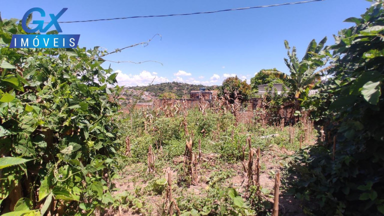 Imagem Terreno à Venda, 200 m² em Fazenda Castro - Ribeirão Das Neves Imagem Terreno à Venda, 200 m² em Fazenda Castro - Ribeirão Das Neves