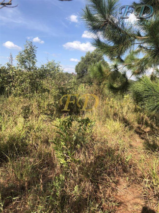Imagem Terreno à Venda, 61.000 m² em Terra Preta - Mairiporã Imagem Terreno à Venda, 61.000 m² em Terra Preta - Mairiporã