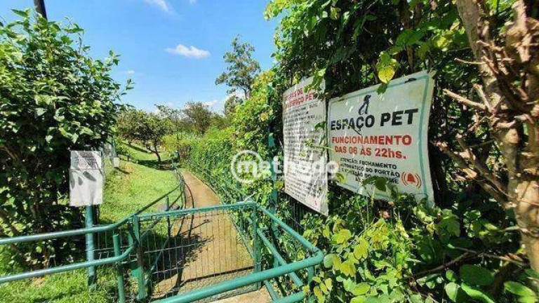 Imagem Apartamento com 3 Quartos à Venda, 45 m² em Parque Prado - Campinas Imagem Apartamento com 3 Quartos à Venda, 45 m² em Parque Prado - Campinas