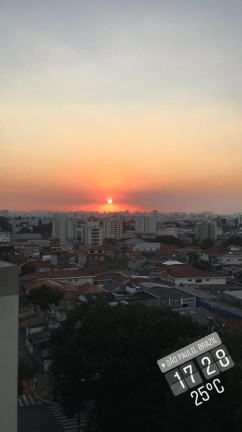 Imagem Apartamento com 3 Quartos à Venda, 75 m² em Vila Guarani (z Sul) - São Paulo Imagem Apartamento com 3 Quartos à Venda, 75 m² em Vila Guarani (z Sul) - São Paulo